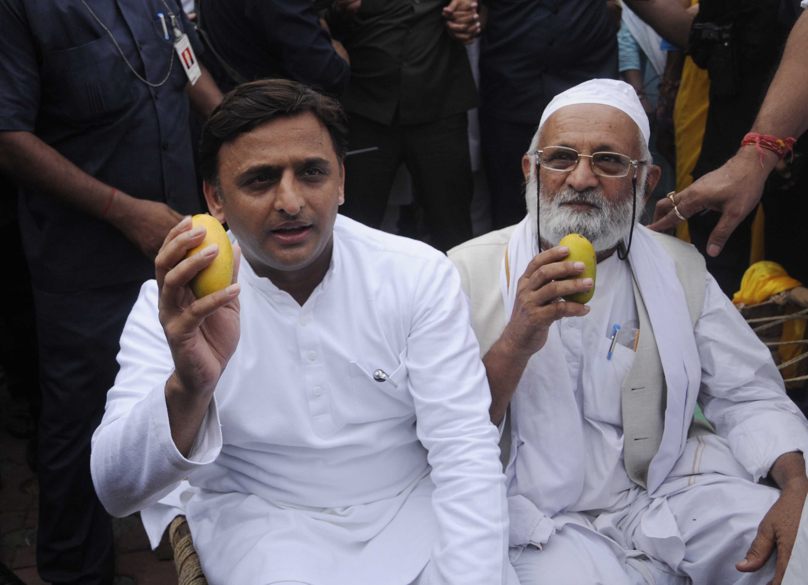 Loot at Aam Mahotsav: Mango festival ends on a sour note
