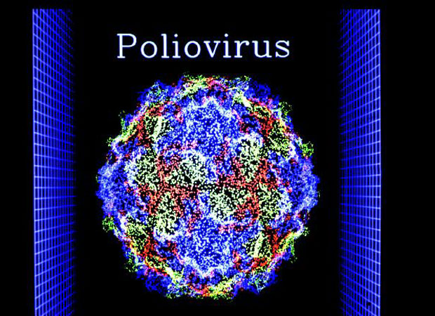Polio Virus!!! Telangana declares global emergency