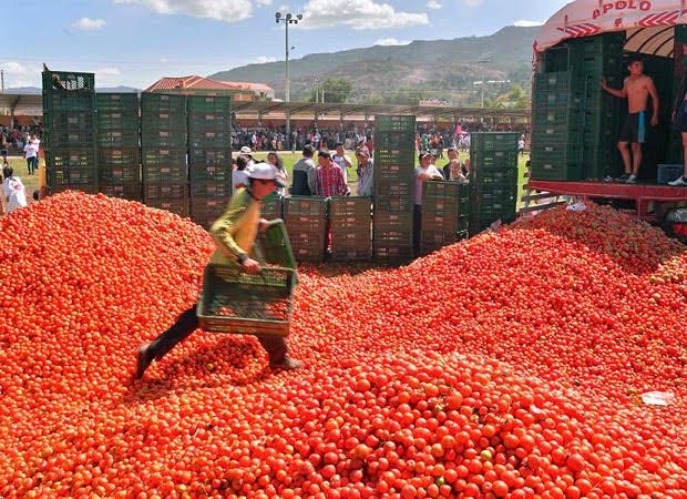 La Tomatino Festival: exclusive pictures right from Colombia