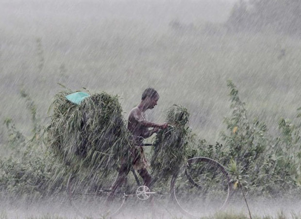 Good News !!  Monsoon enters Vidarbha of Maharashtra