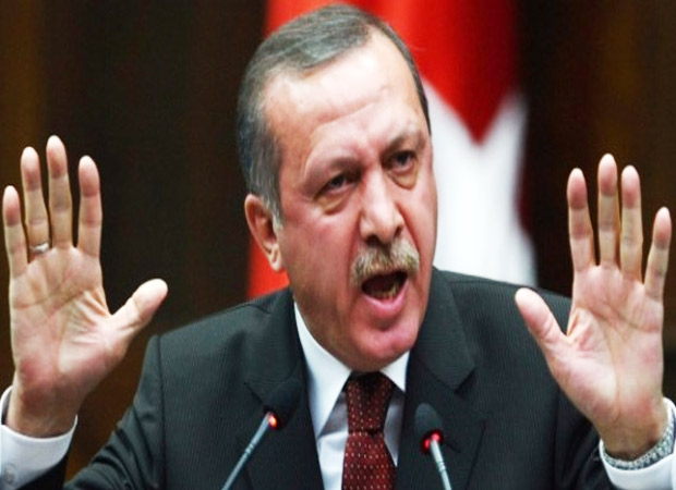 President Erdogan declares 3 month state of emergency in Turkey