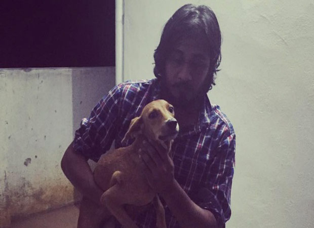 Dog flung from terrace found alive, accused students get bail