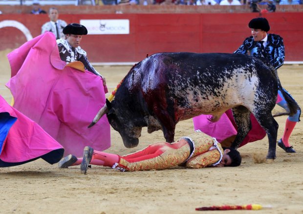 Spanish matador Victor Baerio gored to death by bull in Tervel