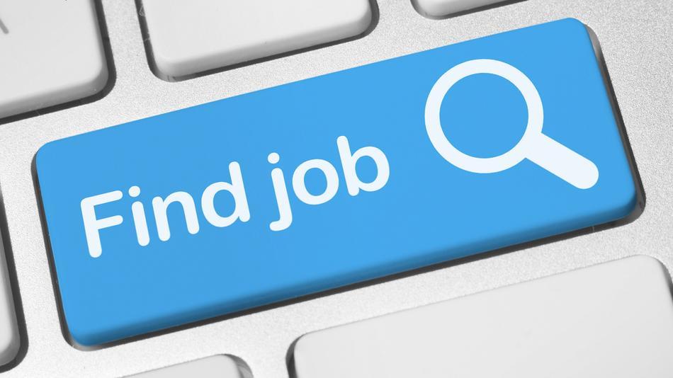 Need Job ? Visit job fair organized by Rajasthan University