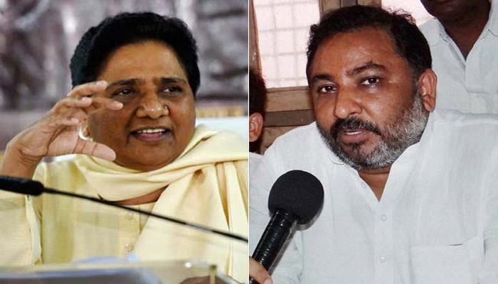 Dayashankar Singh compares Mayawati with animal, denies later