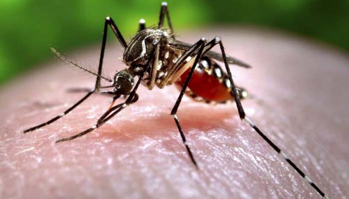 Now get rid of mosquitoes with an Android app!!!