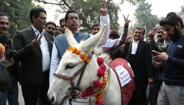 OMG! Donkey files nomination for Uttar Pradesh assembly polls