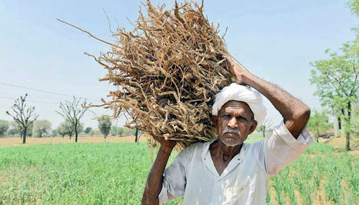 Loan Waiver : Uttar Pradesh farmers wait with a bated breath