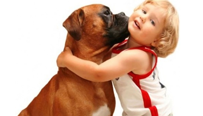 Pet dogs may help cut stress in kids: Study