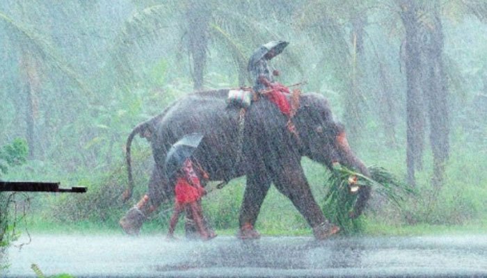 Relief from Heat | Monsoon hits Kerala on Tuesday