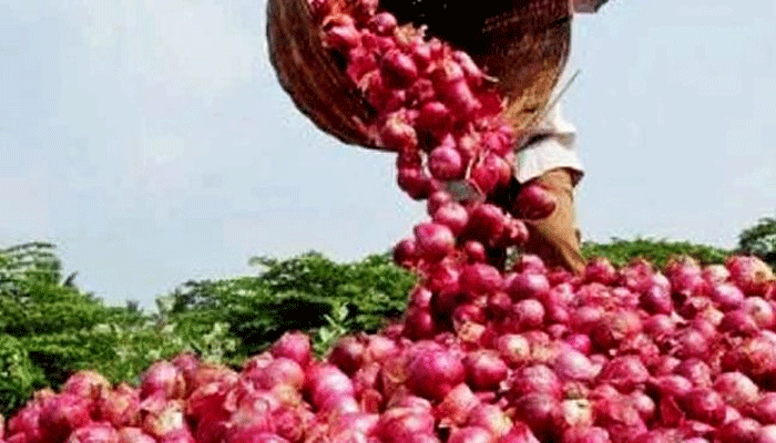 Onion does not bring tears to a farmer in Kushinagar district in UP