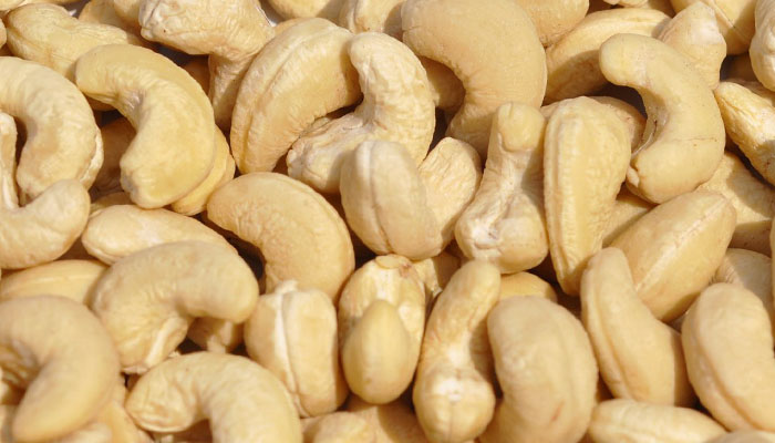 Jharkhand model of cashew cultivation may be used in other states