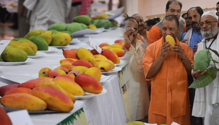 PICTURES: CM Yogi Adityanath enjoys UPs Mango festival