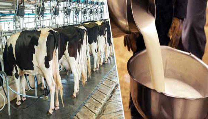 India to be worlds biggest milk producer by 2026