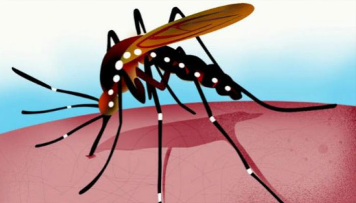 Googles machine-raised mosquitoes to shrink vectors numbers