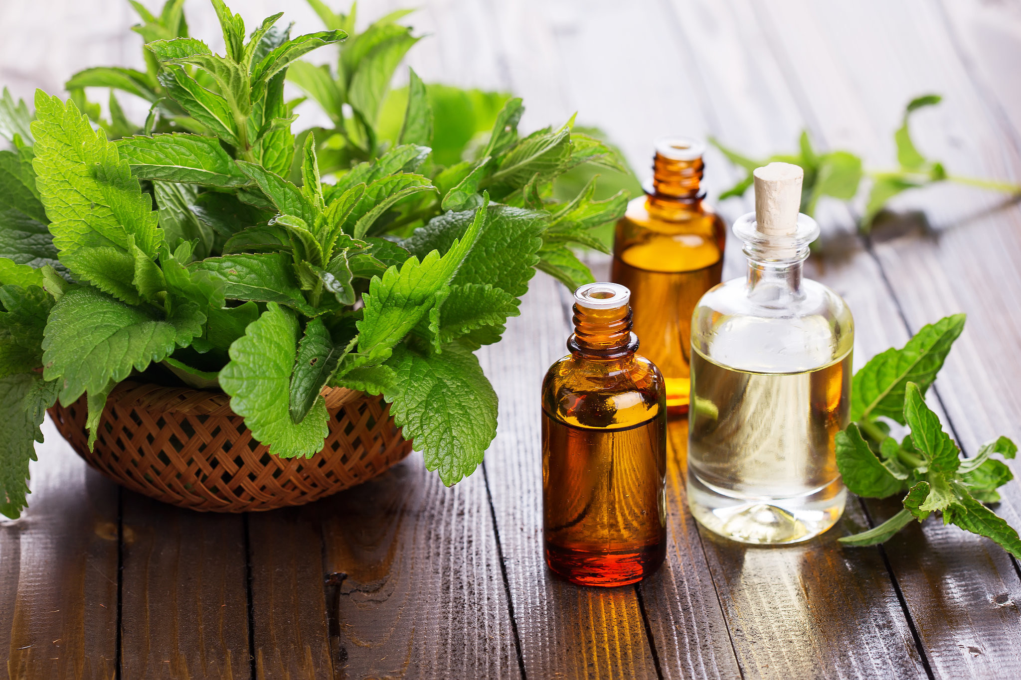A Closer Look at the Nutrition and Benefits of Peppermint Leaves