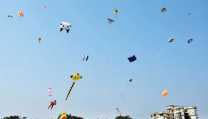 Kite fliers message to PM Modi, CM Yogi Adityanath: Save Yamuna, save Agra