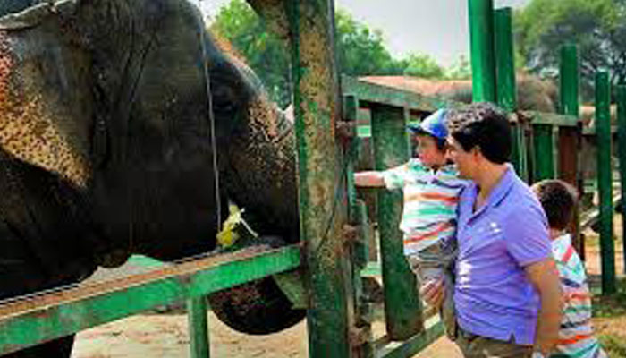 Canadian PMs #UPDairies, visits Mathura wildlife sanctuary