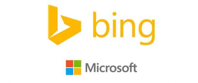 Microsofts Bing to gain as Google kills view image button