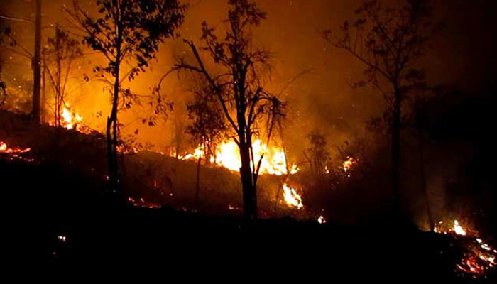 Tamil Nadu: Death toll in Kurangani Hills forest fire rises to 11