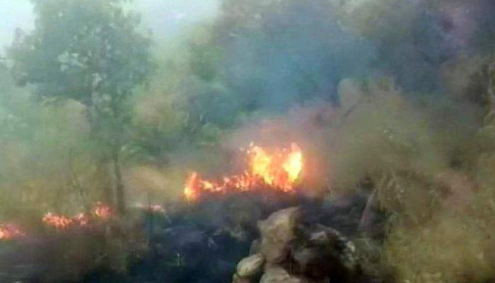 Nine killed in Tamil Nadu forest fire, IAFs rescue operation on