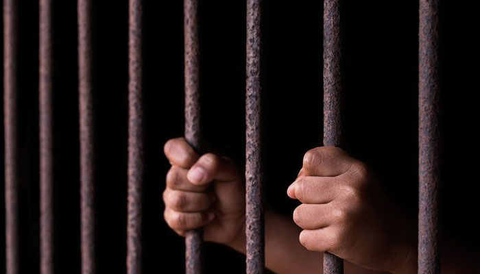 Teen gets two years jail for cyber terrorism