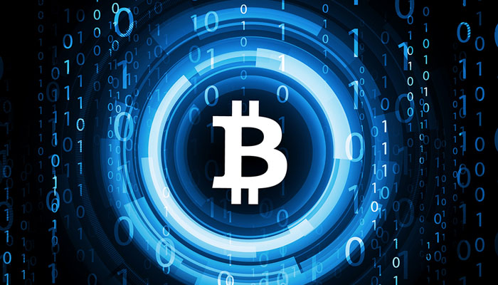 The Prophets of Cryptocurrency Survey the Boom and Bust