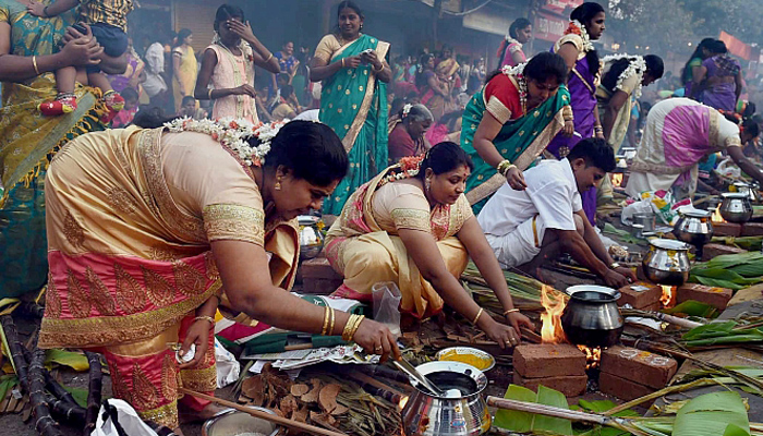 Tamil Nadu celebrates Pongal with traditional fervour