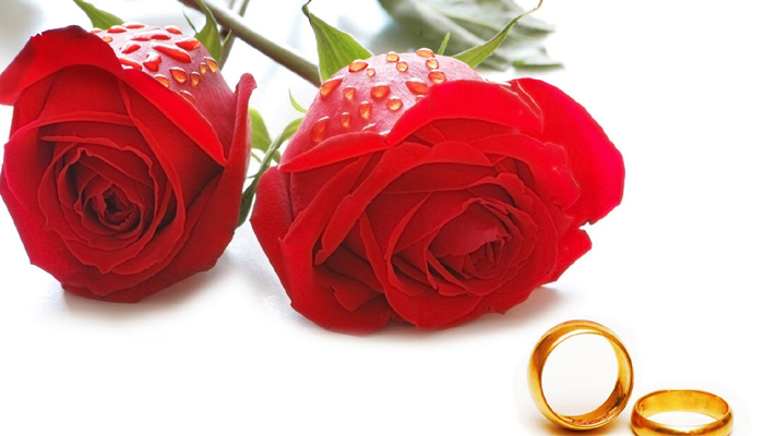 Happy Rose Day : WhatsApp quotes and messages for your loved ones