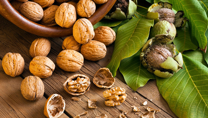 Consuming walnuts may curb depression: Study