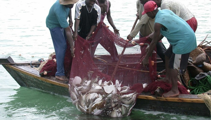 India accounts for 6.3% of global fish production: Fisheries dept