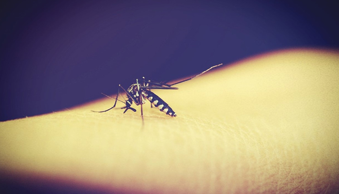 Malaria cases ahead of monsoon; some bureaucrats feel the sting