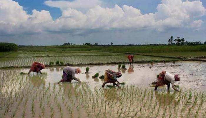 No cause of concern about monsoon; sowing to pick up: Govt