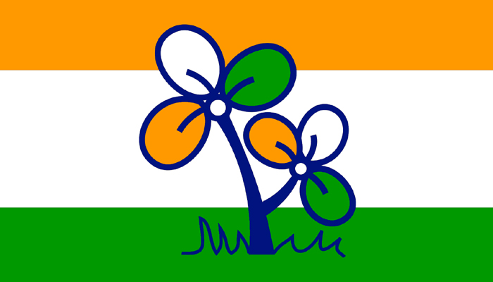 TMC to conduct survey to assess support base ahead of municipal polls