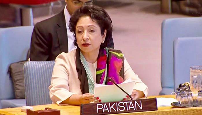 A man jeers at Pak representative to UN; calls her a thief