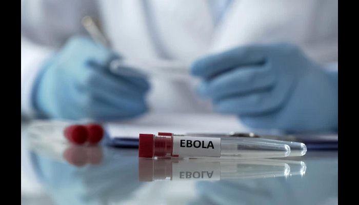 Uganda begins largest trial of experimental Ebola vaccine