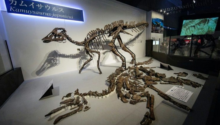 Researchers unearth largest Dinosaur fossils weighing nearly 5 tons!!