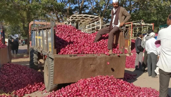 MMTC signs 2nd onion import order, to buy 11,000tn from Turkey
