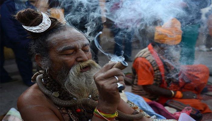 Indians love going high on weed: Delhi, Mumbai top the list