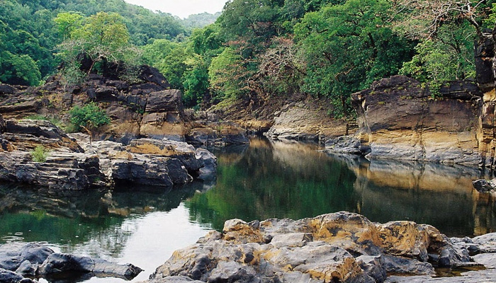 Declare Goas Cotigao sanctuary as tiger reserve: Activist