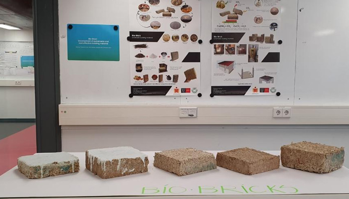 Researchers develop bio-bricks from agri waste products