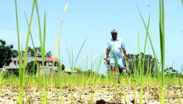 Maha farmers awaiting immediate aid, not new government: Sena
