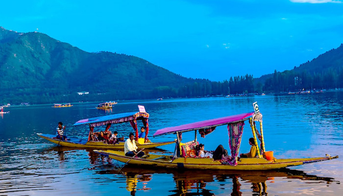 Jammu-Kashmir govt sets up panel to declare Dal Lake as ESZ