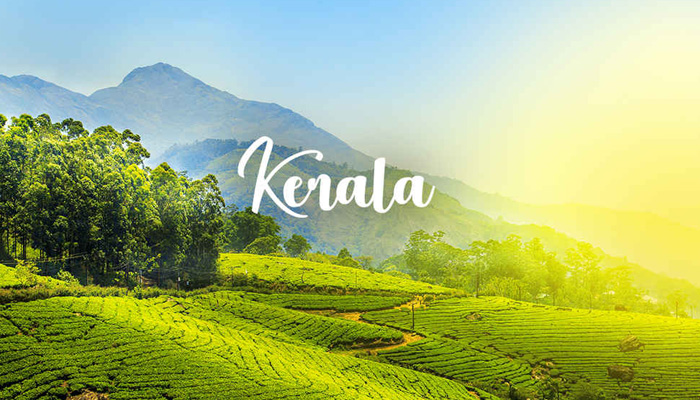 This is why Kerala bags award for Best Honeymoon Destination