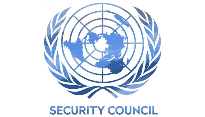Unending UN Security Council reform process like a Greek tragedy: India
