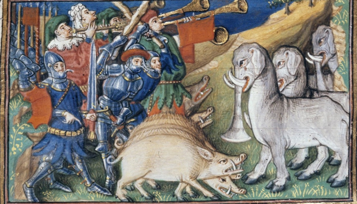 Pigs have won many wars in history; even one for Alexander the Great!