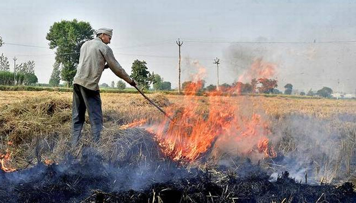 Uttar Pradesh: 47 farmers booked for burning crop residue in Banda