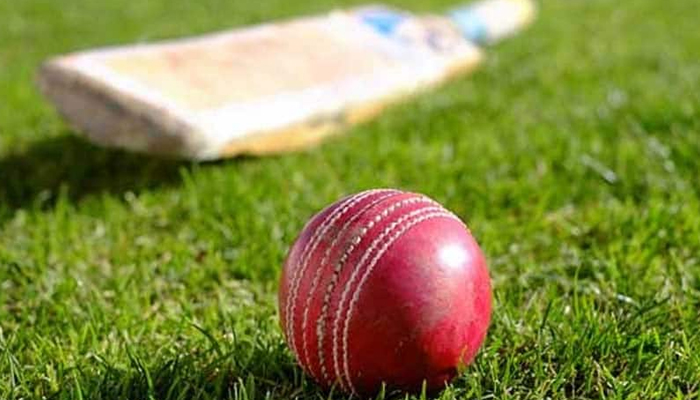 Maha: 2 boys returning home after cricket match killed in accident