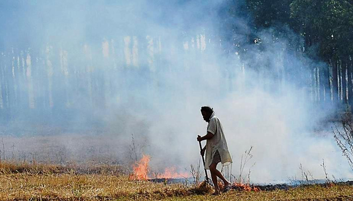 Farmer booked for stubble burning in Uttar Pradesh