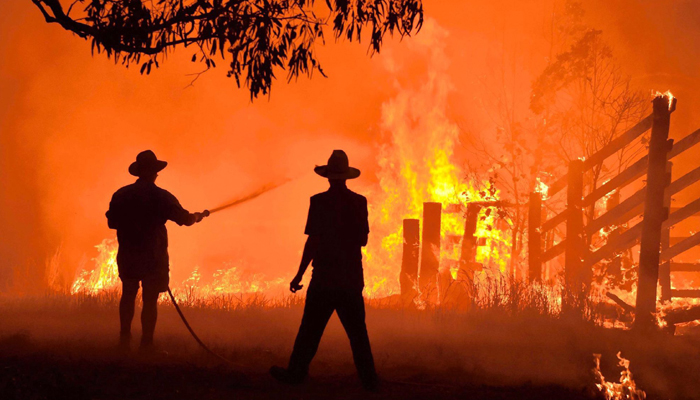 Threatened species hit hard by Australias bushfires